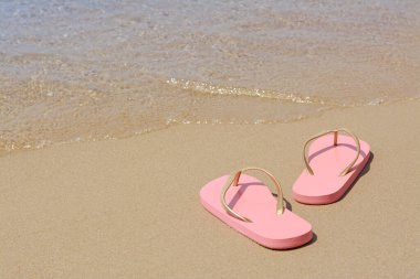 Stylish pink flip flops on wet sand near sea, space for text