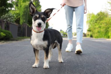 Şehir caddesinde sevimli köpeğini gezdiren bir kadın.