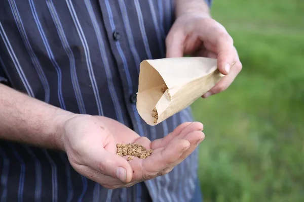 Man pouring beet seeds from paper bag into hand outdoors, closeup