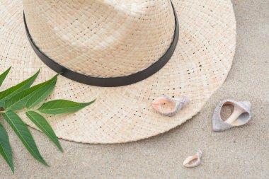 Straw hat, seashells and green leaves on sandy beach, flat lay