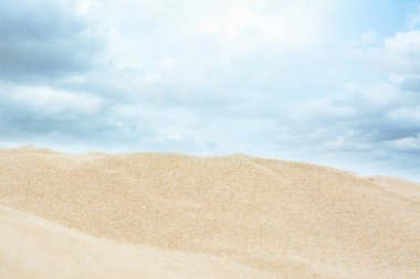 Beautiful view of sandy beach on summer day, closeup