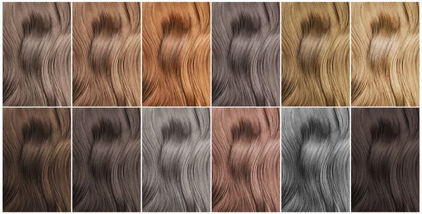 Collage Multicolored Hair Samples Banner Design Color Palette —  Fotos de Stock