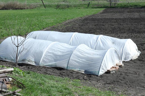 Two agricultural greenhouses in field on sunny day