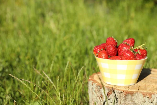 Bowl of ripe strawberries on tree stump outdoors. Space for text