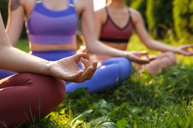Dışarıdaki yeşil çimlerde meditasyon yapan kadınlar, yakın plan. Sabah yogası