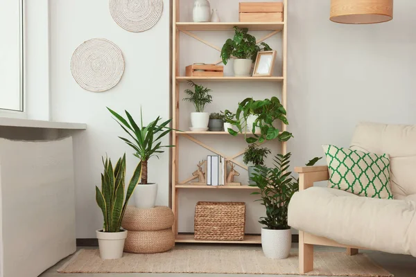 Intérieur Élégant Chambre Avec Belles Plantes Maison Idée Design Maison — Photo