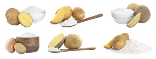 Set Starch Fresh Potatoes White Background Banner Design — Foto de Stock
