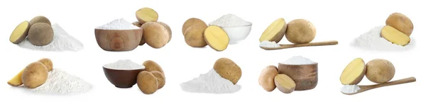 Set Starch Fresh Potatoes White Background Banner Design — Fotografia de Stock