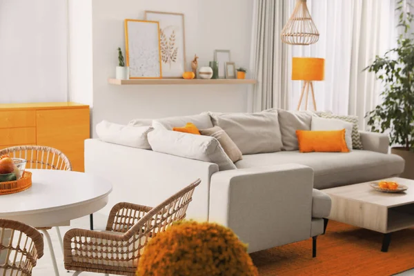 Stylish Living Room Interior Comfortable Sofa Different Decor Elements — Stockfoto