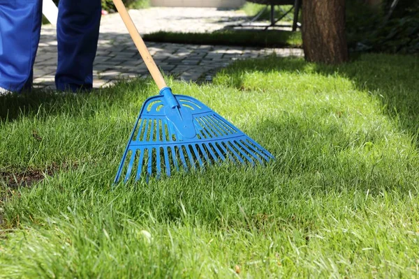 Trädgårdsmästare Kratta Gräs Sod Bakgården Närbild — Stockfoto