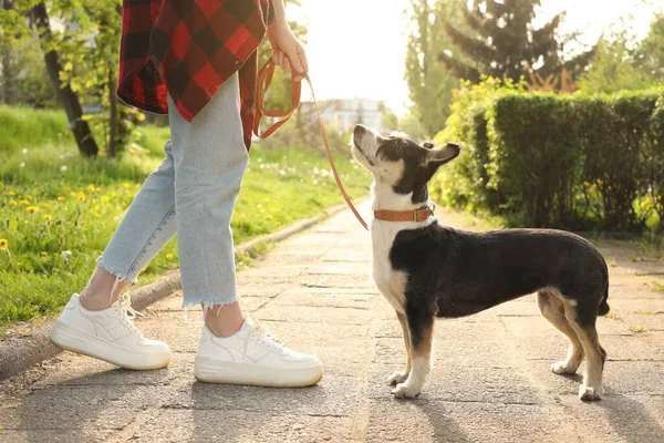 Parkta sevimli köpeğini gezdiren kadın, yakın plan.