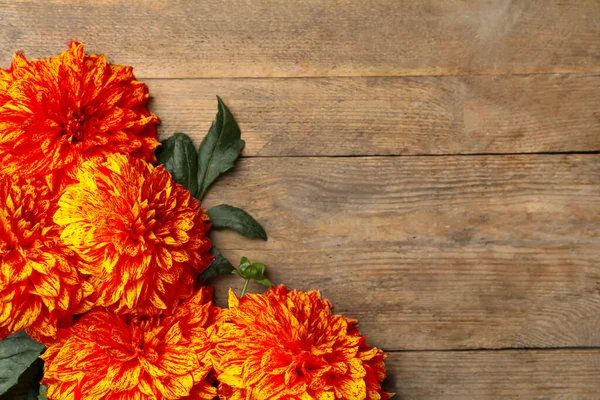 Beautiful Orange Dahlia Flowers Wooden Background Flat Lay Space Text — Stock Fotó