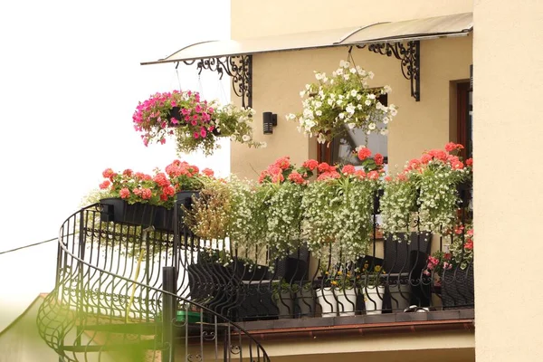 Balcony Decorated Beautiful Blooming Potted Flowers Stairs — Fotografia de Stock