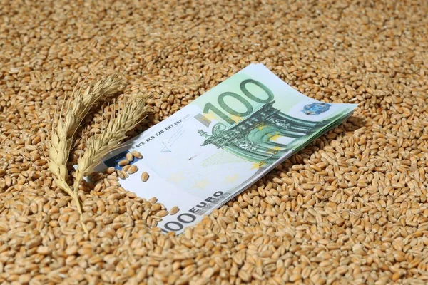Euro Banknote Ears Wheat Grains Global Food Crisis Concept — Foto de Stock