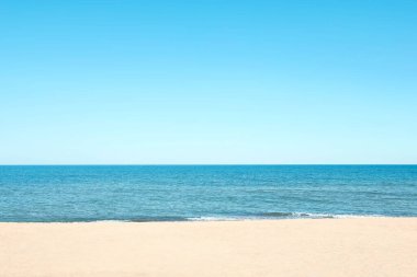 Picturesque view of sandy beach with seagulls near sea