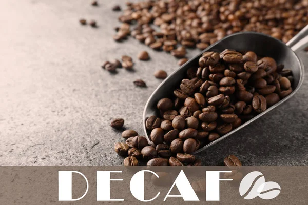 Metal Scoop Decaf Coffee Beans Grey Table Closeup — Stockfoto