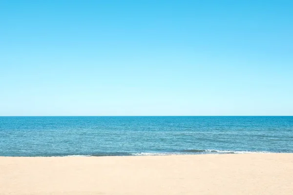 Picturesque View Sandy Beach Seagulls Sea — Zdjęcie stockowe