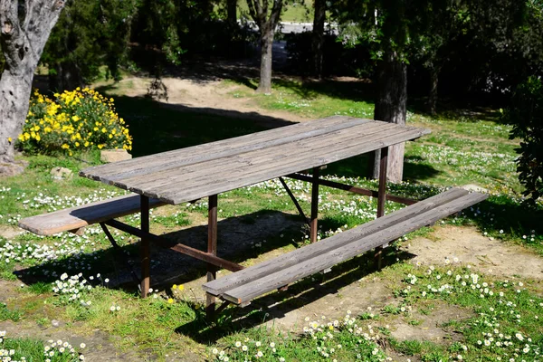 Empty Wooden Table Benches Park Sunny Day — Foto Stock