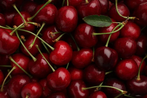 Ripe Sweet Cherries Background Top View — Foto de Stock