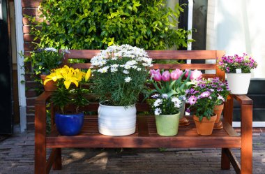 Bir sürü güzel çiçek açan bitkiler var. Ağaçtan bir bankta, açık havada.