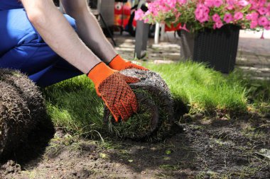 Bahçıvan çimenleri arka bahçeye seriyor, yakın plan.