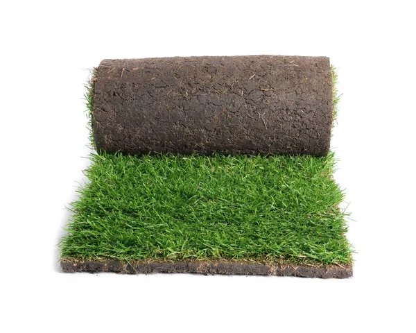 Spatenstich Mit Gras Auf Weißem Hintergrund — Stockfoto