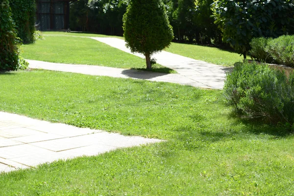 Green Lawn Fresh Grass Bushes Trees Outdoors Sunny Day — 스톡 사진
