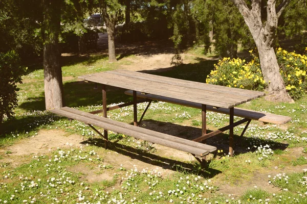 Empty Wooden Table Benches Park Sunny Day — Foto Stock