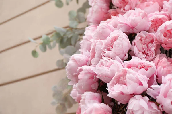 Many beautiful peony flowers on beige wall of building, closeup. Space for text