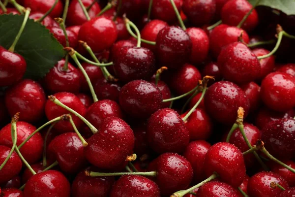 Many Sweet Cherries Water Drops Background Closeup — Foto de Stock