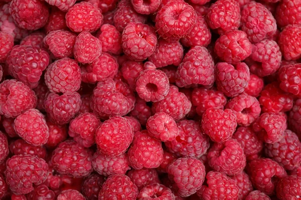 Many Fresh Red Ripe Raspberries Background Top View — Foto de Stock