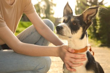 Parkta sevimli köpeğiyle genç bir kız, yakın plan.
