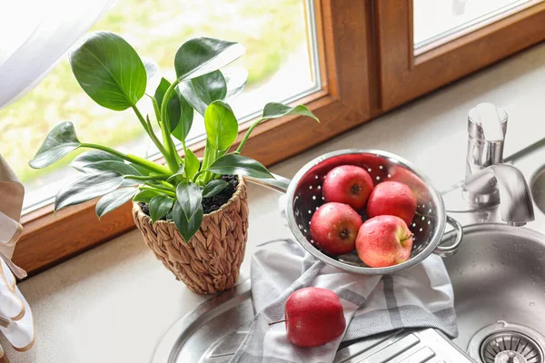 Beautiful Green Houseplant Apples Sink Kitchen — 스톡 사진