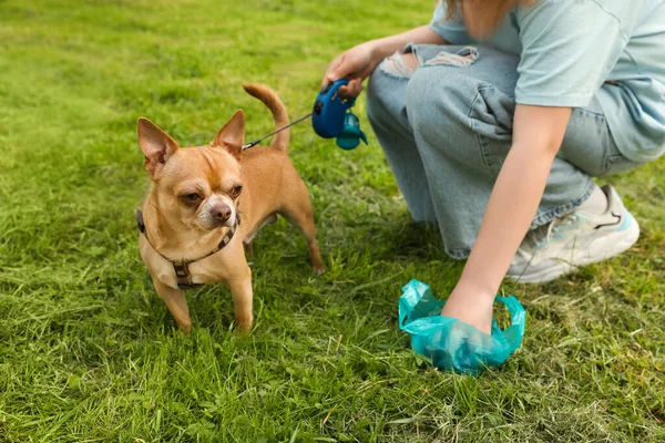 Woman Picking Her Dog Poop Green Grass Closeup — Stock Photo, Image