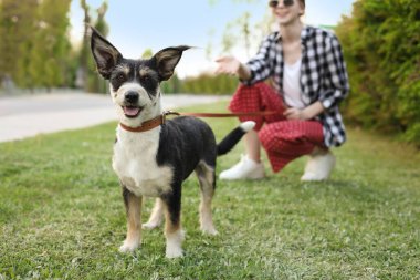 Sokak ortasında sevimli köpeğiyle genç bir kız.