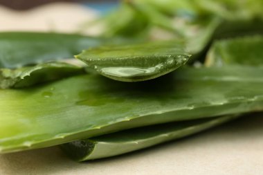 Fresh cut juicy aloe vera leaves on table, closeup