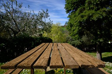 Empty wooden table in park on sunny day, space for text