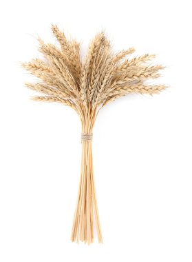 Ears of wheat on white background. Cereal plant