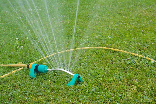 Automatic Sprinkler Watering Green Grass Lawn Outdoors — стоковое фото