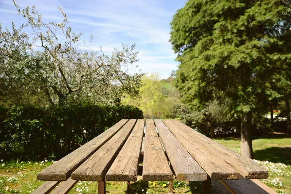 Empty Wooden Table Park Sunny Day Space Text — Foto Stock