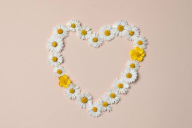 Heart shaped frame of daisy flowers on beige background, flat lay. Space for text