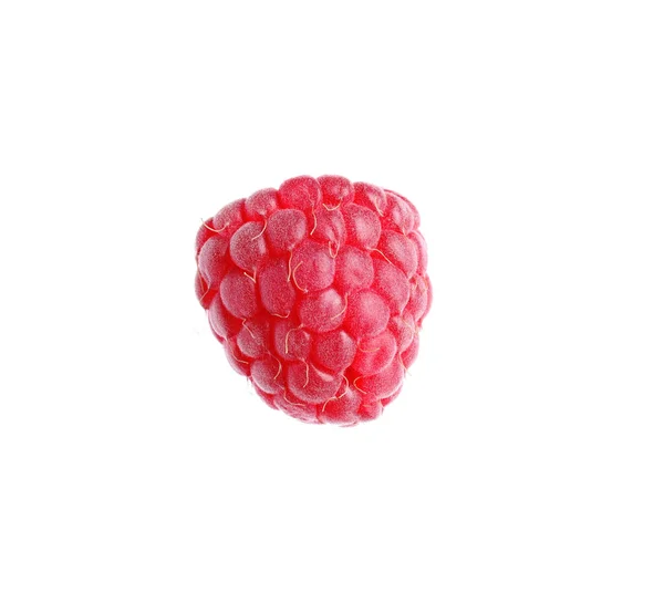 One Fresh Ripe Raspberry Isolated White — Zdjęcie stockowe