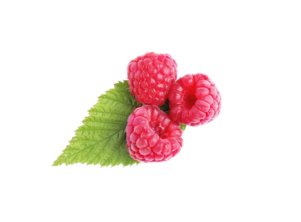 Fresh Ripe Raspberries Green Leaf White Background Top View — Foto de Stock