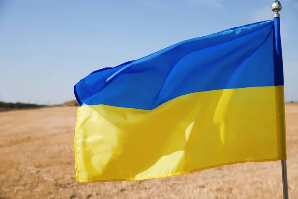 Národní Vlajka Ukrajiny Pšeničném Poli Proti Modré Obloze Detailní Záběr — Stock fotografie