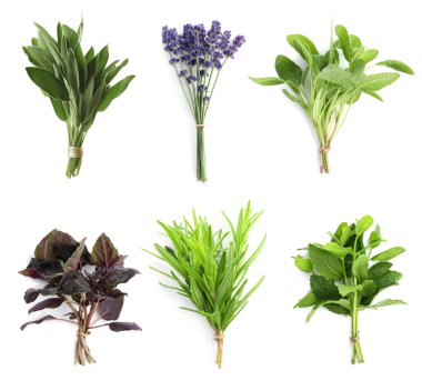 Set with different aromatic herbs on white background, top view