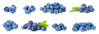 Set with tasty fresh ripe blueberries on white background. Banner design