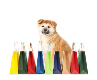 Cute Akita Inu puppy and colorful paper shopping bags on white background