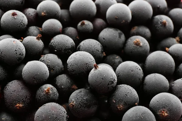 Tasty Frozen Black Currants Background Closeup View — 图库照片