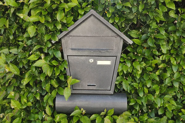 Black metal letter box on fence with leaves outdoors