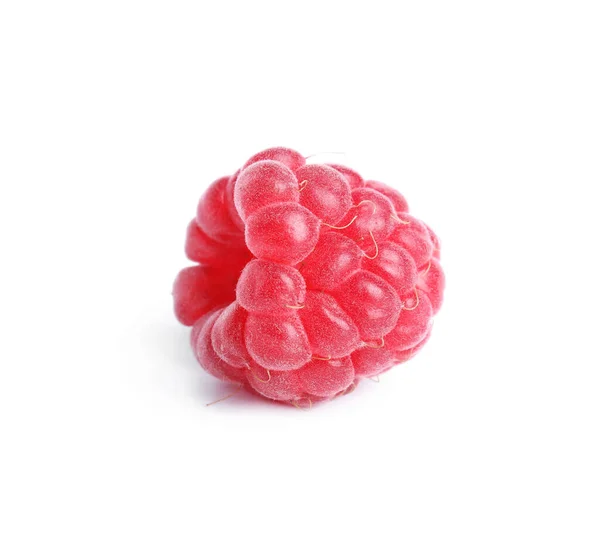 One Fresh Ripe Raspberry Isolated White — Zdjęcie stockowe